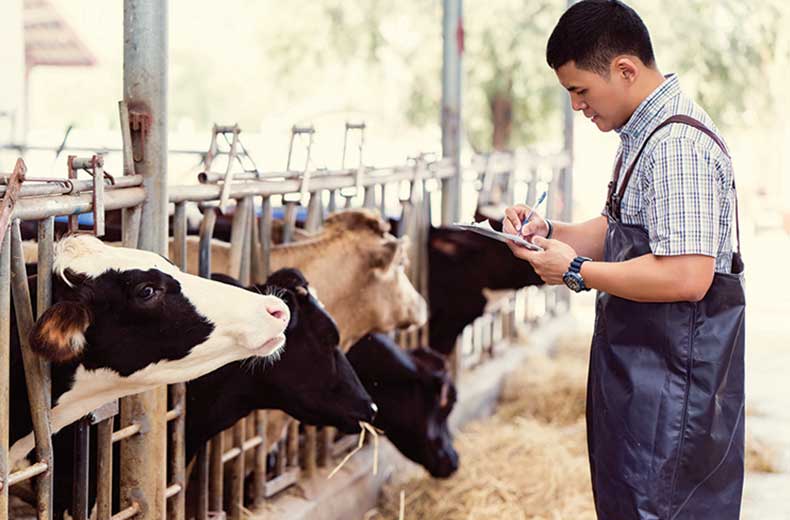 警惕“超加工食品”成为儿童肥胖推手