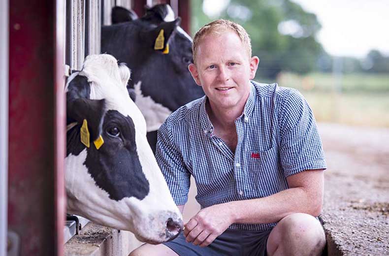 好想来如何携手张远，探索“聚会零食”新价值